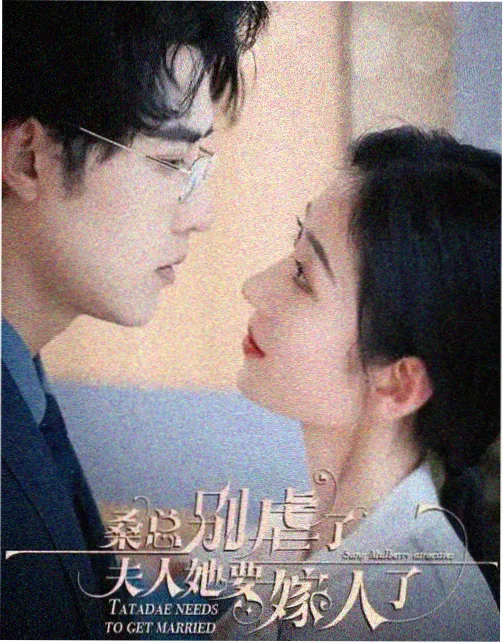 代码之名 职场剧全集下载